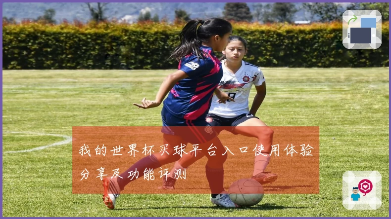 我的世界杯买球平台入口使用体验分享及功能评测