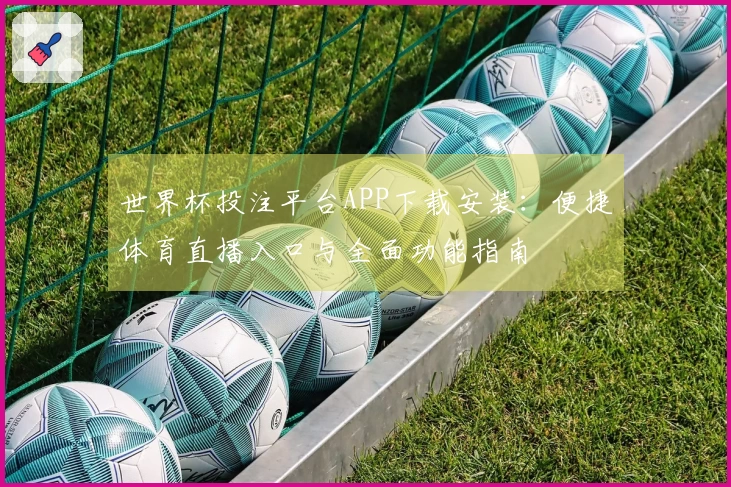 世界杯投注平台APP下载安装：便捷体育直播入口与全面功能指南