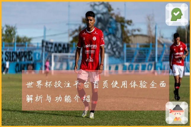 世界杯投注平台首页使用体验全面解析与功能介绍